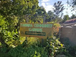 Yandina Community Gardens improving visibility