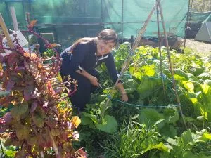 Yandina Community Gardens new volunteer tending the vegetable garden