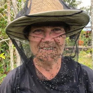 Saturday 15 Nov - Splitting a Native Beehive